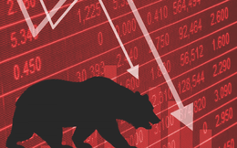Bear Market: Chứng khoán Việt Nam hồi phục ra sao sau những lần rơi vào thị trường gấu?