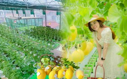Mê trồng trọt, nữ giám đốc chịu chơi "bê" luôn vườn 250m2 lên sân thượng, bội thu rau trái