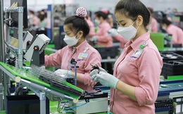 Việt Nam - Điểm đến hứa hẹn của các công ty lớn