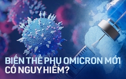 Biến thể phụ mới của Omicron trốn được kháng thể vaccine đang lây lan mạnh liệu có thực sự nguy hiểm?