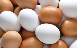Trứng gà ta có bổ hơn trứng gà công nghiệp? Chuyên gia giải mã chi tiết
