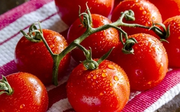 4 lợi ích khi ăn cà chua vào mùa hè, lợi ích số 4 khiến chị em càng "sốt xình xịch"