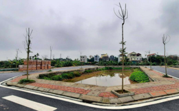 'Số phận' 26 lô đất dính sai phạm đấu giá ở Hà Nội vẫn 'treo'