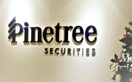Các mảng kinh doanh chính hoạt động hiệu quả, lợi nhuận 6 tháng của Pinetree tăng gấp đôi cùng kỳ năm trước
