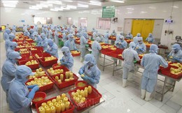 Kim ngạch thương mại Việt Nam - Lào khởi sắc trong 7 tháng đầu năm