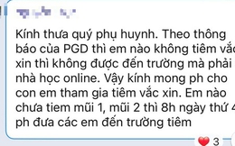 Nha Trang: Học sinh tiểu học không tiêm ngừa Covid-19 thì phải học trực tuyến