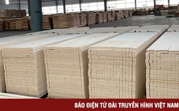 Hoa Kỳ chưa áp thuế chống bán phá giá với gỗ dán Việt Nam