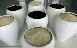 Bangladesh mua hàng trăm ngàn tấn gạo của Việt Nam