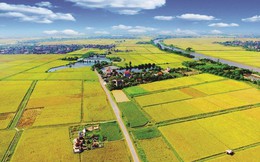 Quảng Nam 'khai tử' 2 dự án hơn 5.400 tỷ đồng