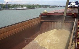 Nga để ngỏ khả năng tăng xuất khẩu ngũ cốc