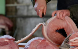 Trung Quốc chiến đấu với 'lạm phát thịt lợn'