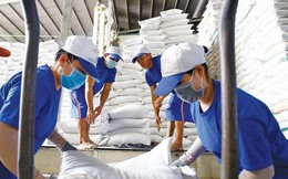 Lý do gạo xuất khẩu của Việt Nam bất ngờ tăng giá