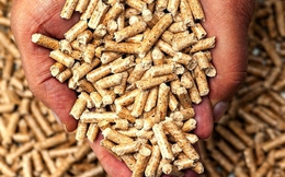 Châu Âu tìm nhiên liệu cho mùa đông, cơ hội của viên nén gỗ Việt