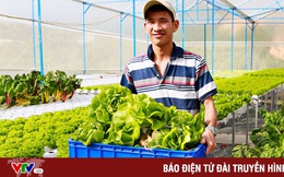 Vụ rau VietGAP 'dởm' vào siêu thị: Lâm Đồng tăng cường quản lý nguồn gốc nông sản