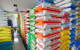 Bão Noru tàn phá mùa màng, Philippines tính sớm nhập khẩu thêm gạo