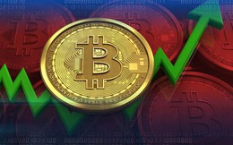 Bitcoin có lúc tăng vọt trên 21.000 USD trong bối cảnh lạm phát được kỳ vọng đạt đỉnh