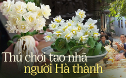 Hội những “ông bố, người chồng” chơi hoa Thuỷ Tiên tại Hà Nội, với kinh nghiệm gần 30 năm chúng tôi biết cách cho hoa nở đúng giao thừa