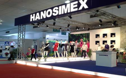 Hanosimex (HSM) lỗ tiếp 2,7 tỷ đồng trong quý 4/2022