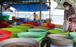 Cân điêu hải sản ở Mũi Né, địa phương đề nghị tháo dỡ lều quán