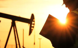 Giá dầu có thể đạt 110 USD/thùng vào giữa năm 2023