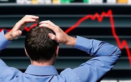 Một doanh nghiệp bất động sản đầu tư chứng khoán lỗ nặng với cổ phiếu HPG, SJS, tiền mặt chỉ còn vỏn vẹn 1 tỷ đồng