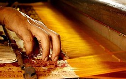 3 phương pháp sản xuất loại nguyên liệu đắt đỏ bậc nhất thế giới, được mệnh danh là "Nữ hoàng của các loại sợi": Người Việt đã thông thạo tới 2 cách!