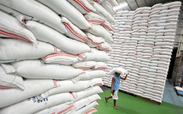 FAO thúc Thái Lan giảm giá bán gạo, tăng xuất khẩu