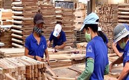 Nhiều thị trường xuất khẩu gỗ có dấu hiệu phục hồi