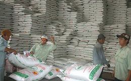Đề nghị đẩy mạnh xuất khẩu giảm tồn kho đường