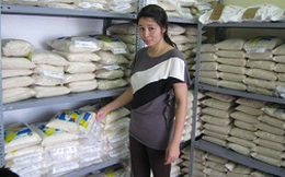 Gạo nội bị gắn mác gạo ngoại: Lừa người tiêu dùng để bán giá cao