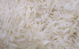 Thái Lan: “Cuộc thử nghiệm” bán gạo không suôn sẻ