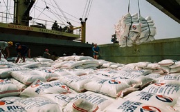 Xuất khẩu gạo: Thị trường truyền thống ế ẩm