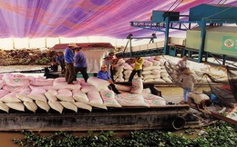 Xuất khẩu gạo: Tính hoài vẫn hẹp cửa ra