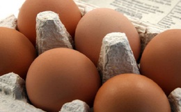 TP.HCM: Cho doanh nghiệp vay 40 tỷ đồng để mua trứng