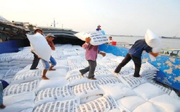 Thương vụ bán 800.000 tấn gạo cho Philippines: Hớ đậm!