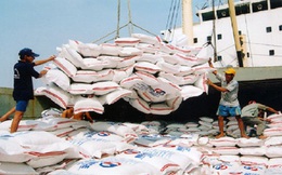 Đã xuất khẩu 1,22 triệu tấn gạo trong quý 1/2014