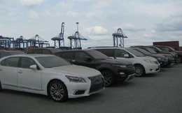 19 chiếc xe ô tô cao cấp tồn đọng tại cảng Cái Mép