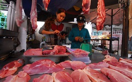 Hà Nội: Gần 60% mẫu thịt vi phạm an toàn thực phẩm