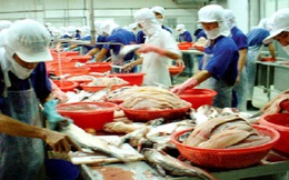 Mỹ điều chỉnh thuế nhập khẩu đối với cá tra Việt Nam