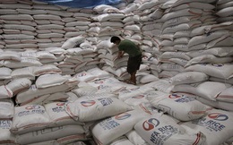 Philippines đấu thầu mua 500.000 tấn gạo