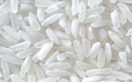 FAO: Việt Nam có thể xuất khẩu khoảng 7 triệu tấn gạo trong năm 2014