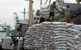 Indonesia nhập 200.000 tấn gạo từ Việt Nam
