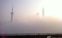 Sương mù dày đặc, Thượng Hải giống như “ngày tận thế"