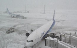 Bão tuyết ở Nhật Bản: 3 người chết, hơn 400 người bị thương