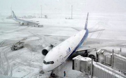 Mỹ, Nhật khốn đốn vì bão tuyết bất thường