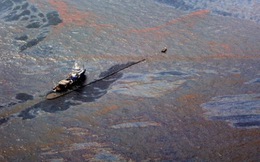 Tập đoàn BP đối mặt khoản phạt 18 tỷ USD do sự cố tràn dầu
