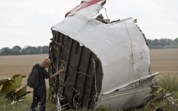 Máy bay MH17 đã bị xuyên thủng bởi "vật thể có tốc độ cao"