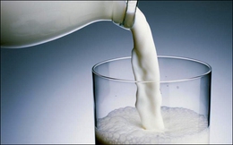 Vì sao sữa hoàn nguyên thống lĩnh thị trường sữa Việt Nam?