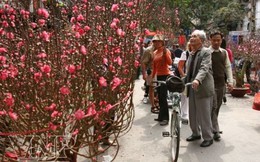 Chợ hoa Tết và thú chơi tao nhã của người Việt 