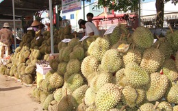 Khách hàng ngoại chuộng trái cây Đồng Nai